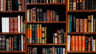 Coloured Library Books  on Shelves