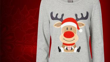 Christmas Sweatshirt and ornaments