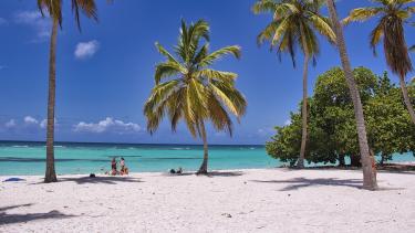 Beach Time A beach with palm trees and blue water
